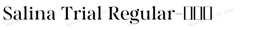 Salina Trial Regular字体转换